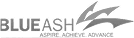 Town of Blue Ash