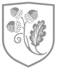 town of academia